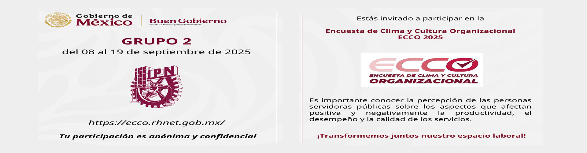 Encuesta ejercicio 2025 (ECCO)